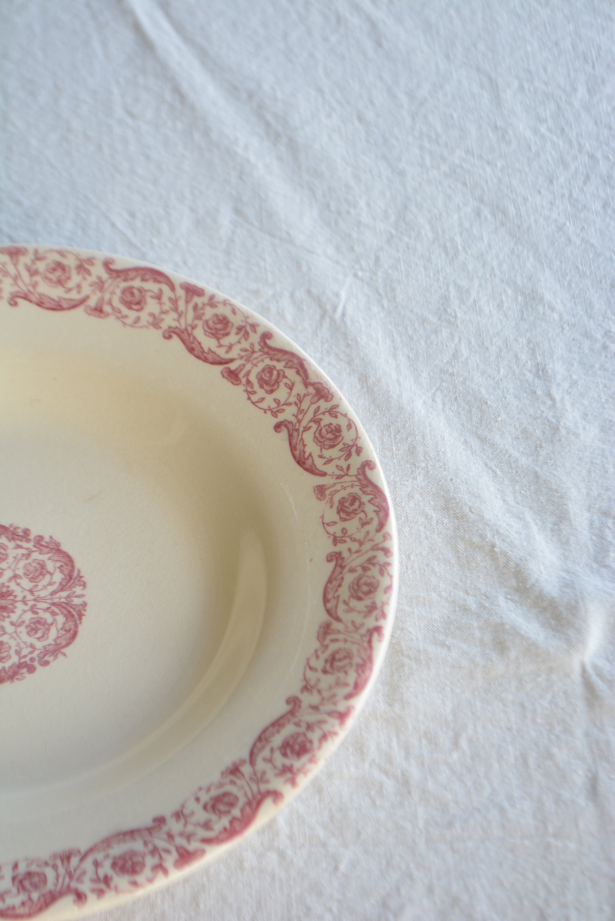 ジアン  ディナースーププレート  ts741