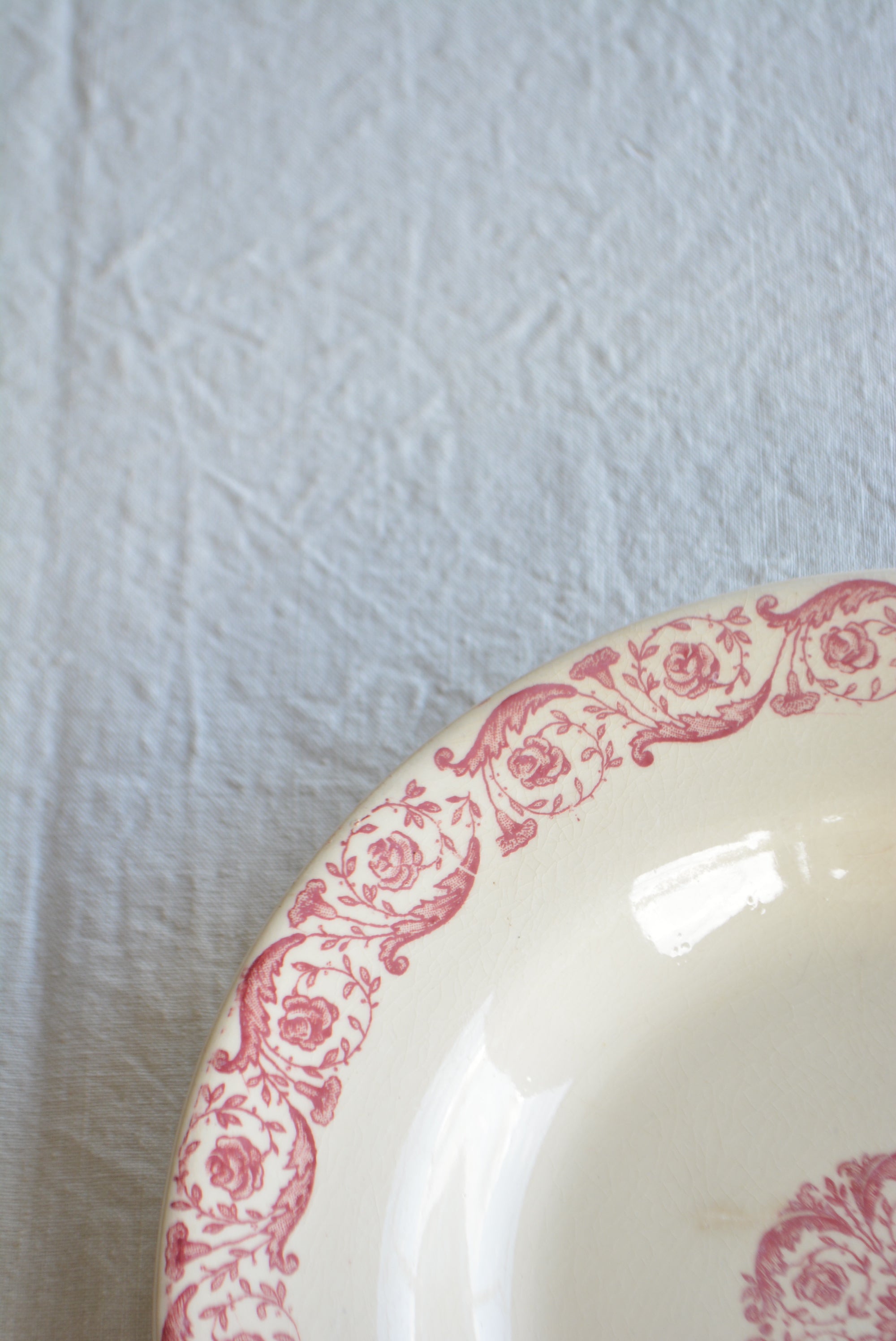 ジアン  ディナースーププレート  ts741