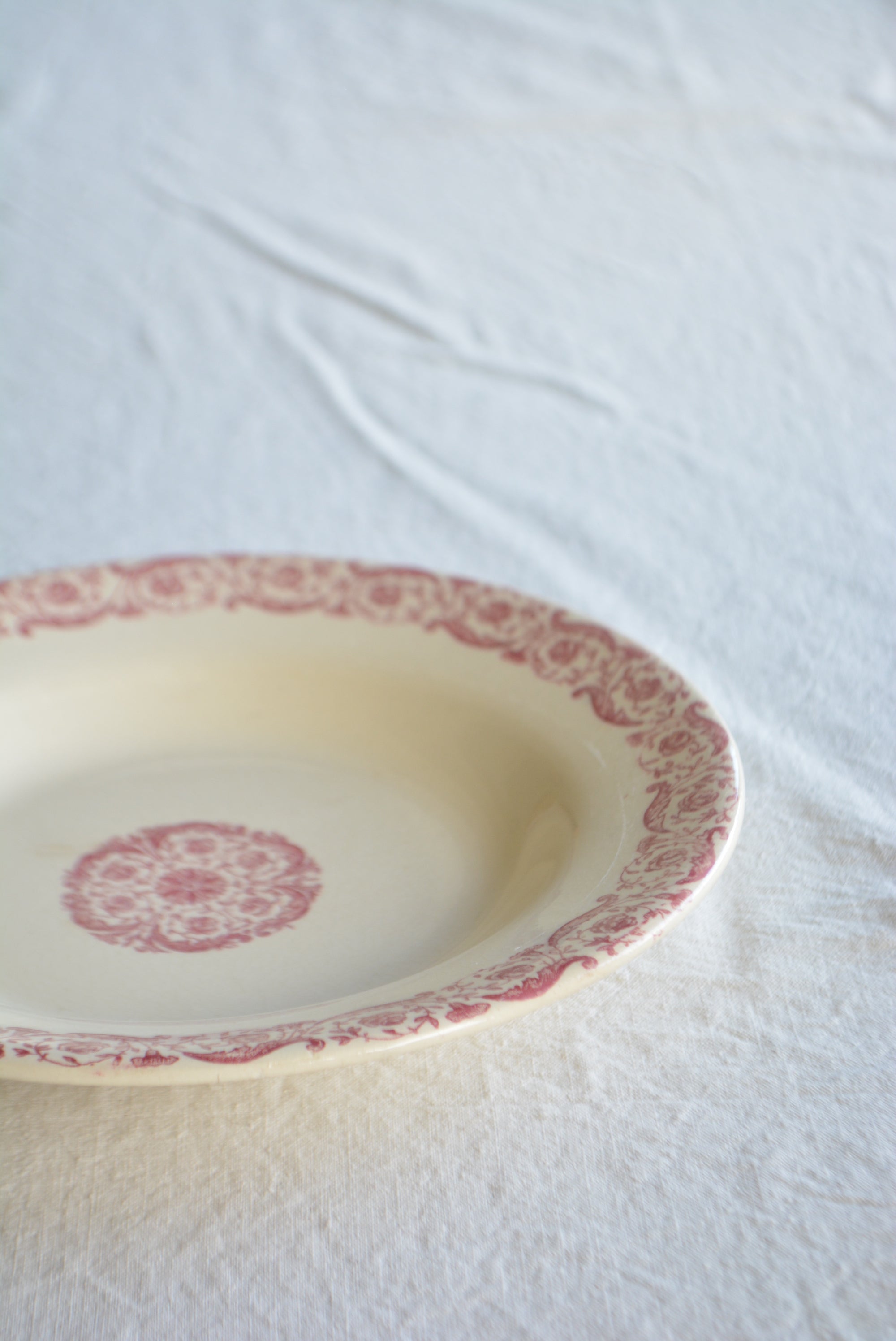 ジアン  ディナースーププレート  ts741