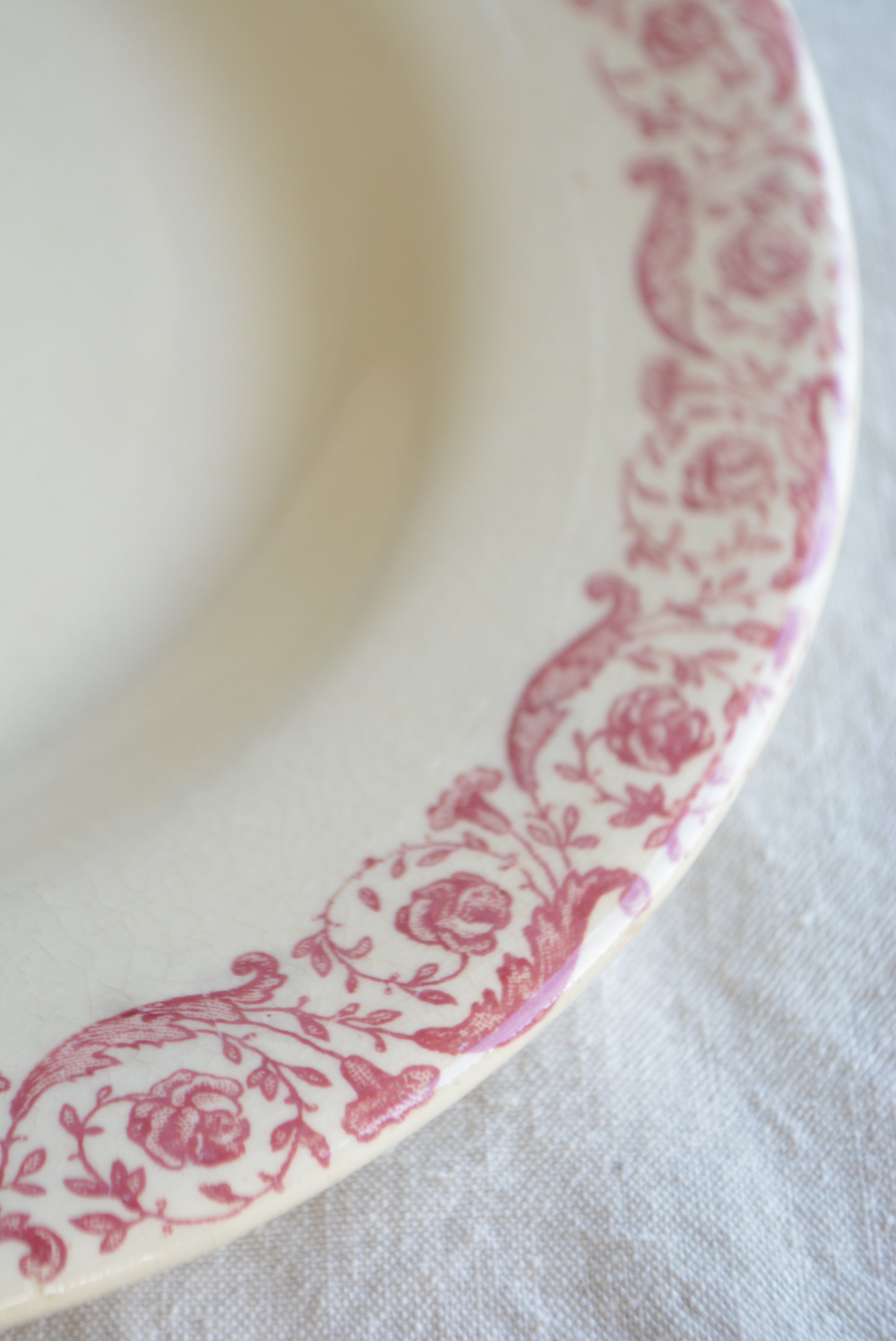 ジアン  ディナースーププレート  ts741