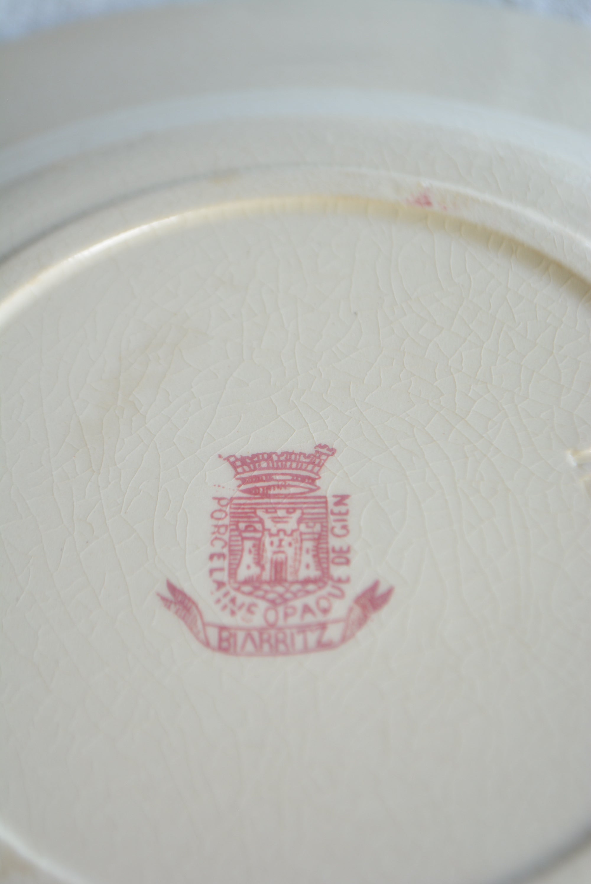 ジアン  ディナースーププレート  ts741