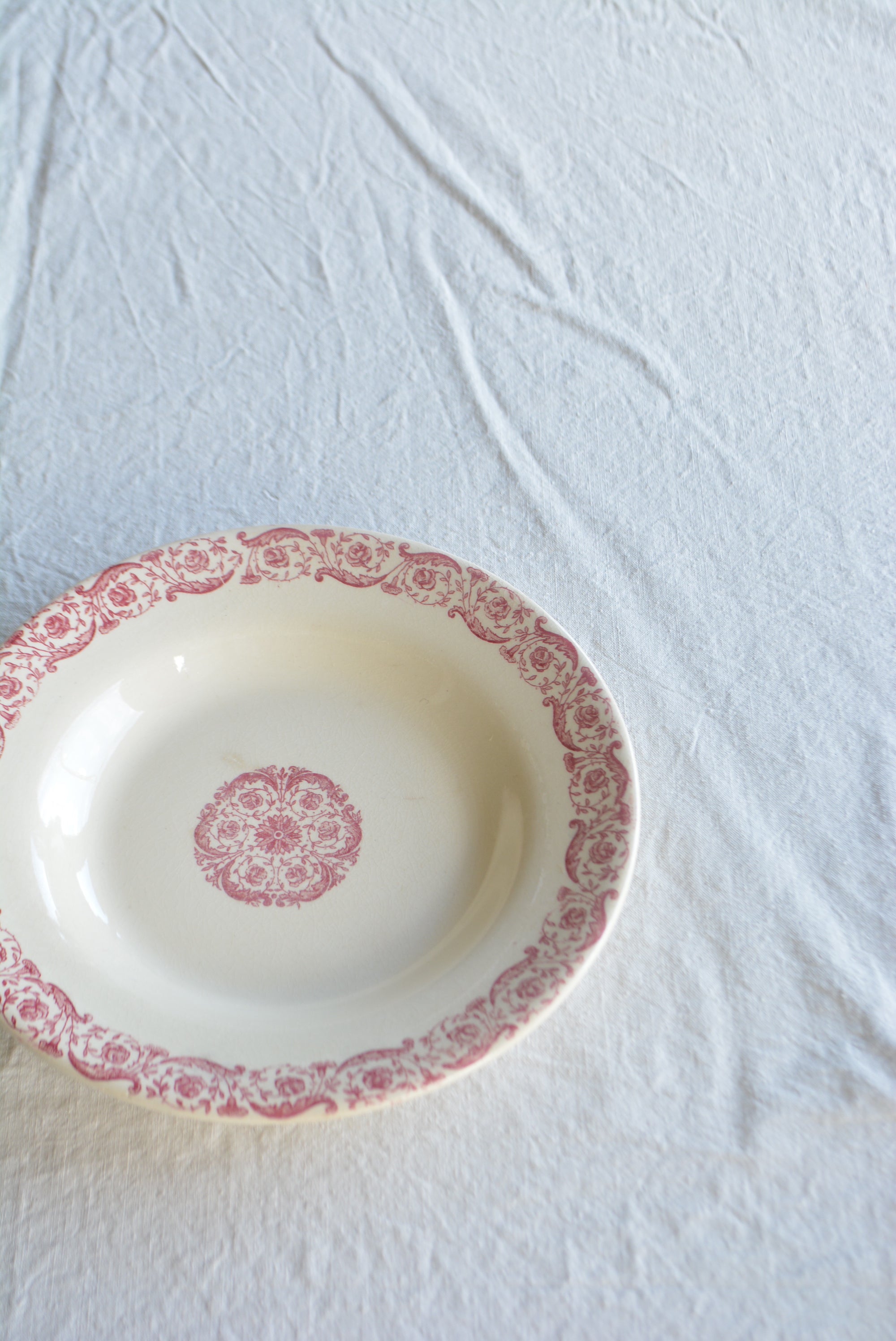 ジアン  ディナースーププレート  ts741