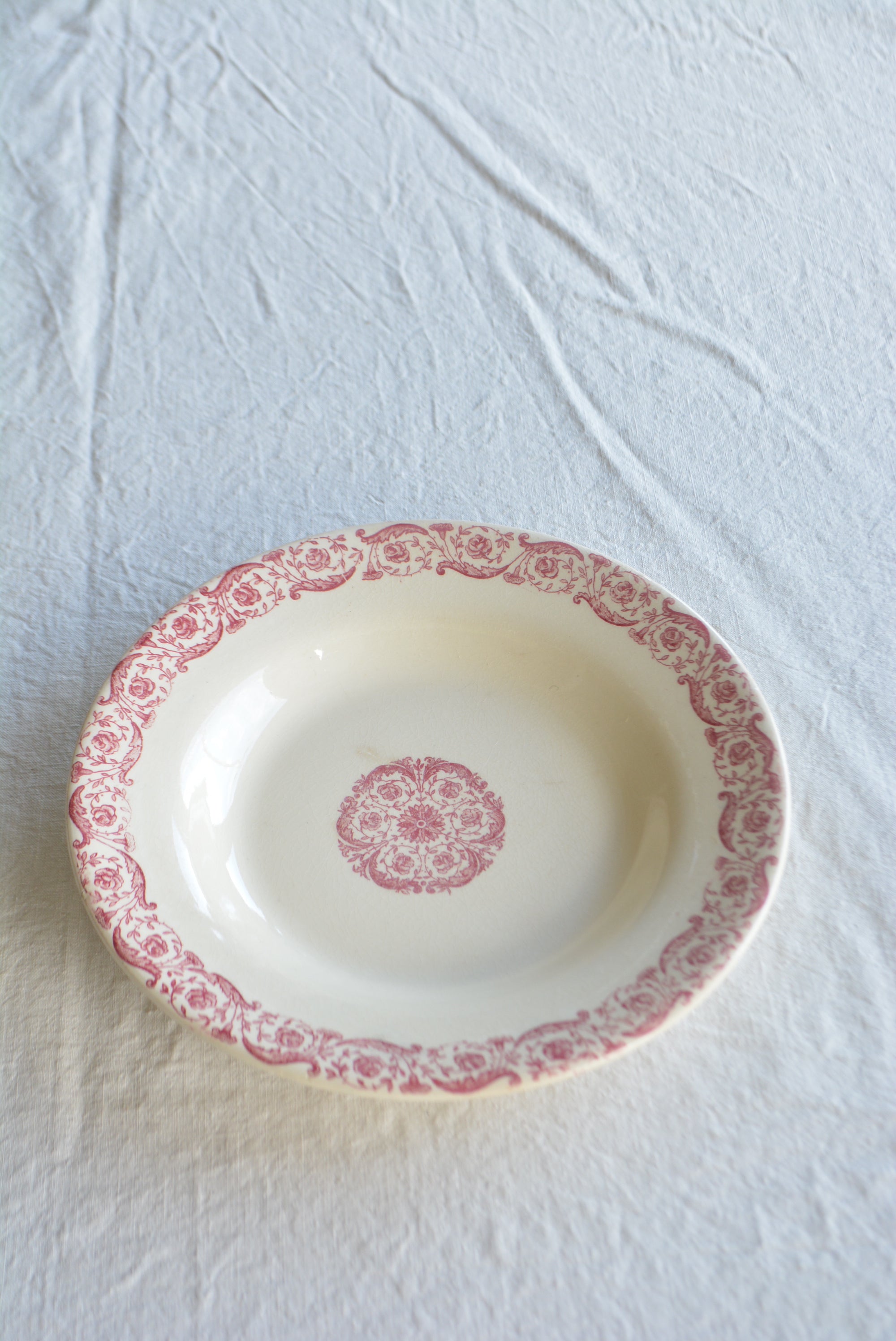 ジアン  ディナースーププレート  ts741