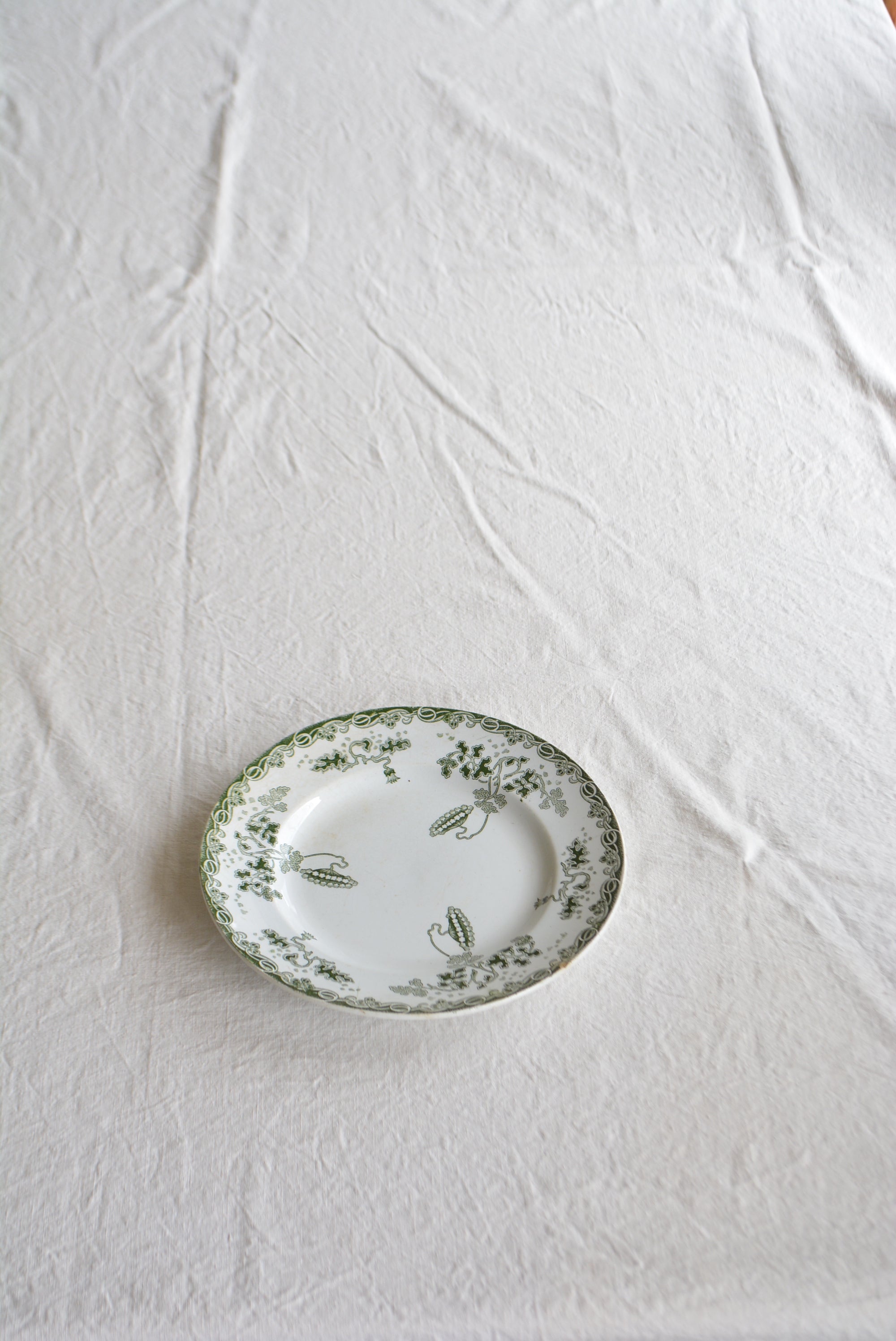 サンタマン ディナープレート 　ts756