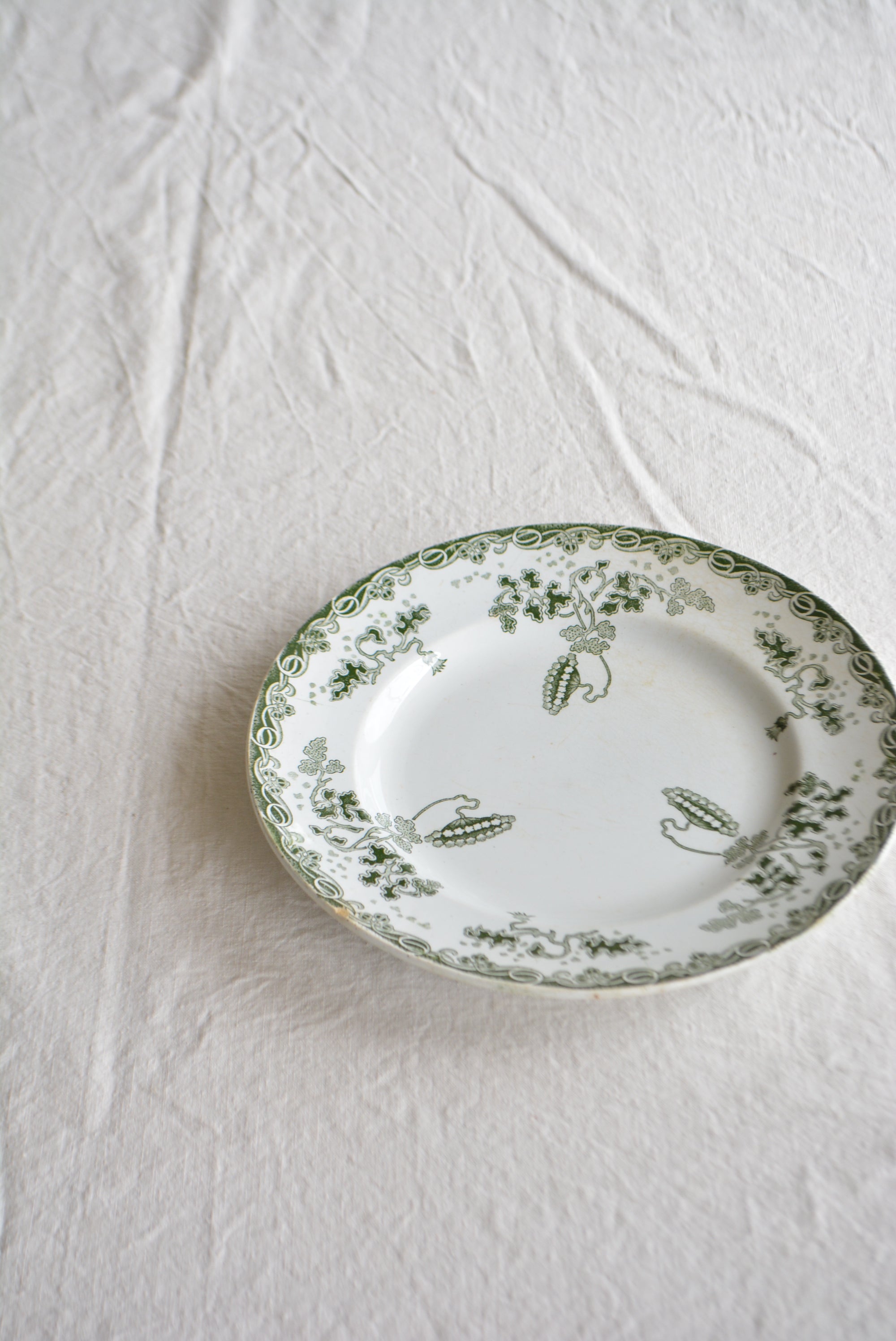 サンタマン ディナープレート 　ts756