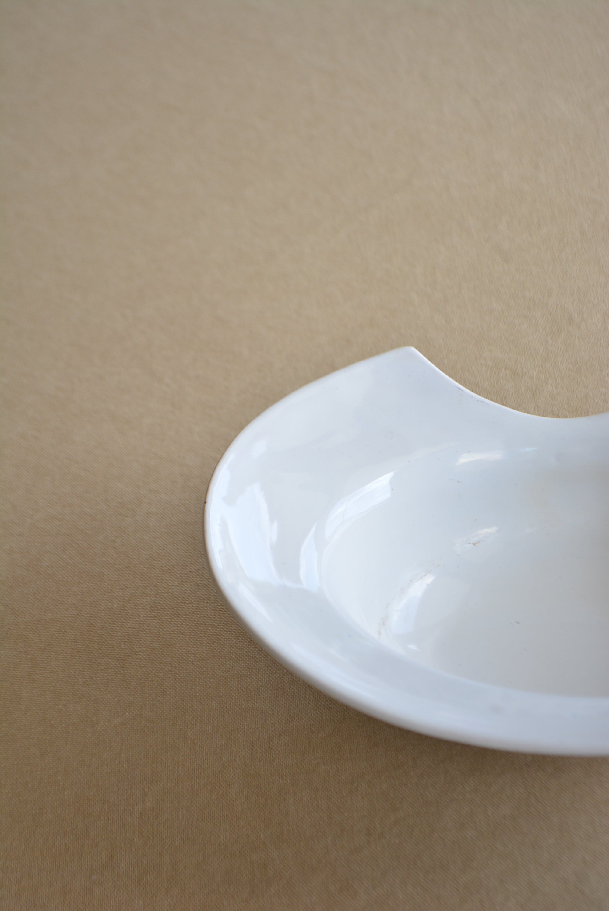 白釉薬 植物柄のひげ皿マニセススペイン古陶19世紀髭皿/J553 
